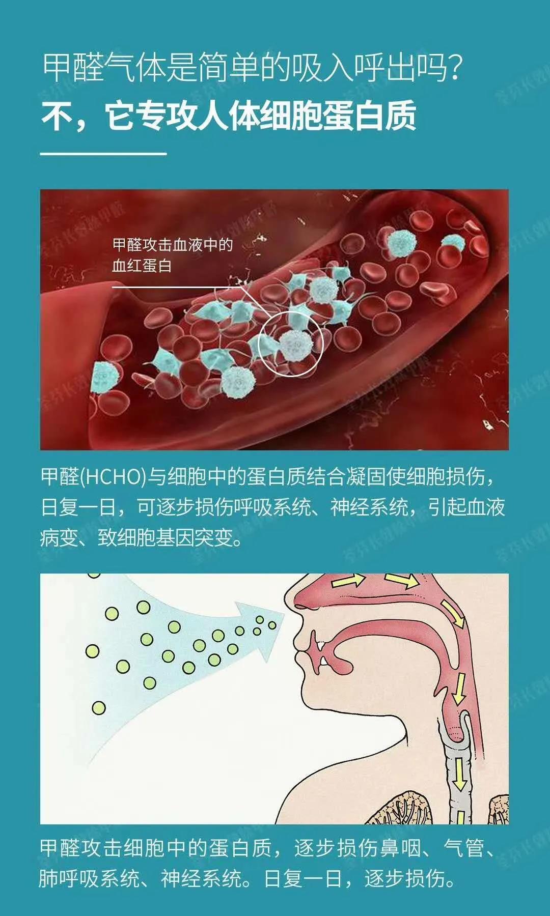 2307